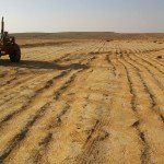 desert_agriculture