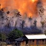 Miškų kirtimas–deginimas Amazonijose