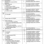 egzamino instrukcija 2011 pagr. sesija_0002