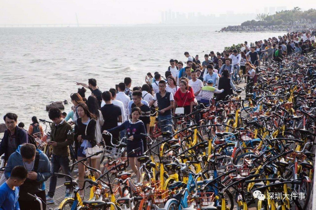 bike-path-shenzhen-bay-shared-bikes